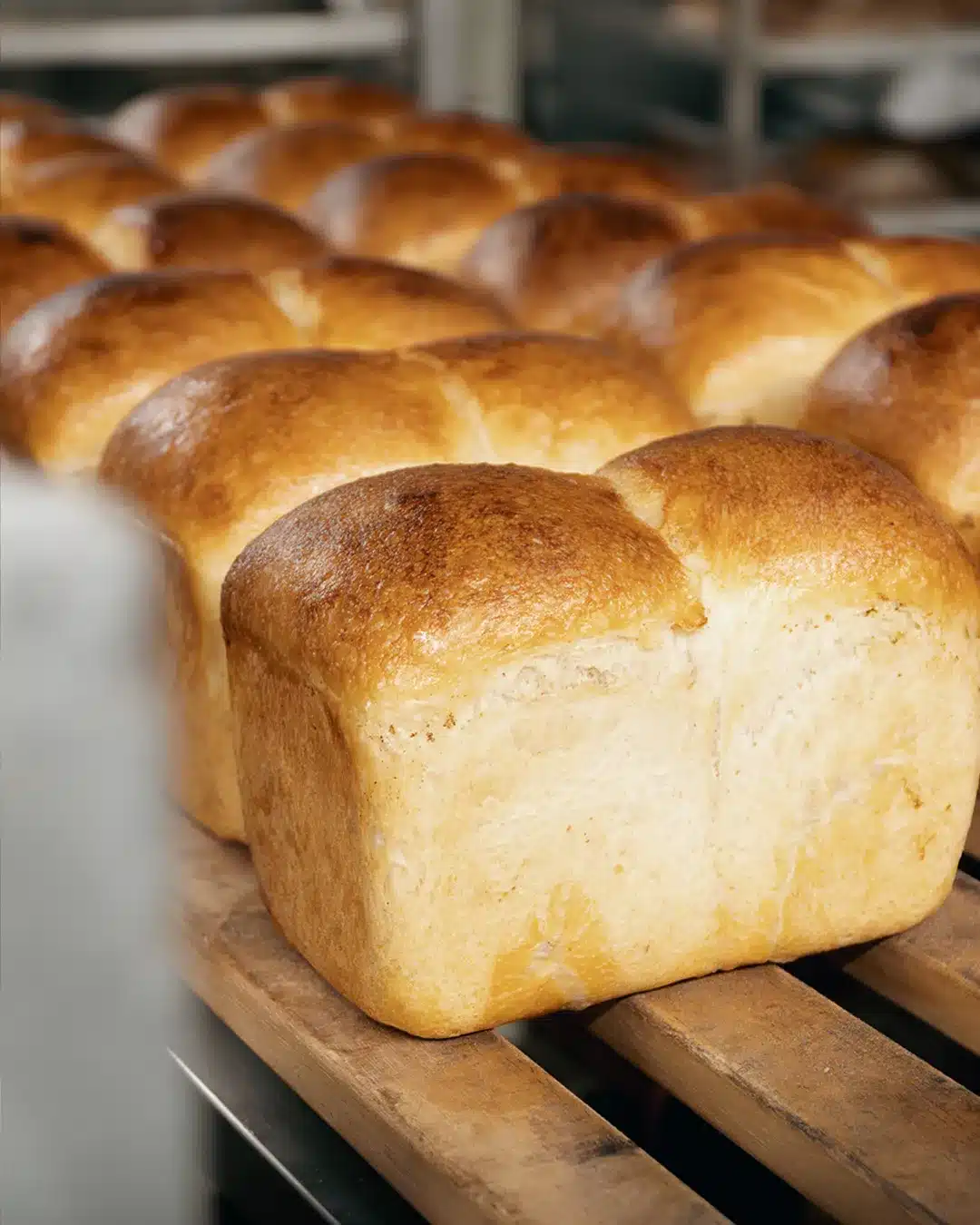 SHOKUPAN, Japanisches Toastbrot, neu interpretiert!