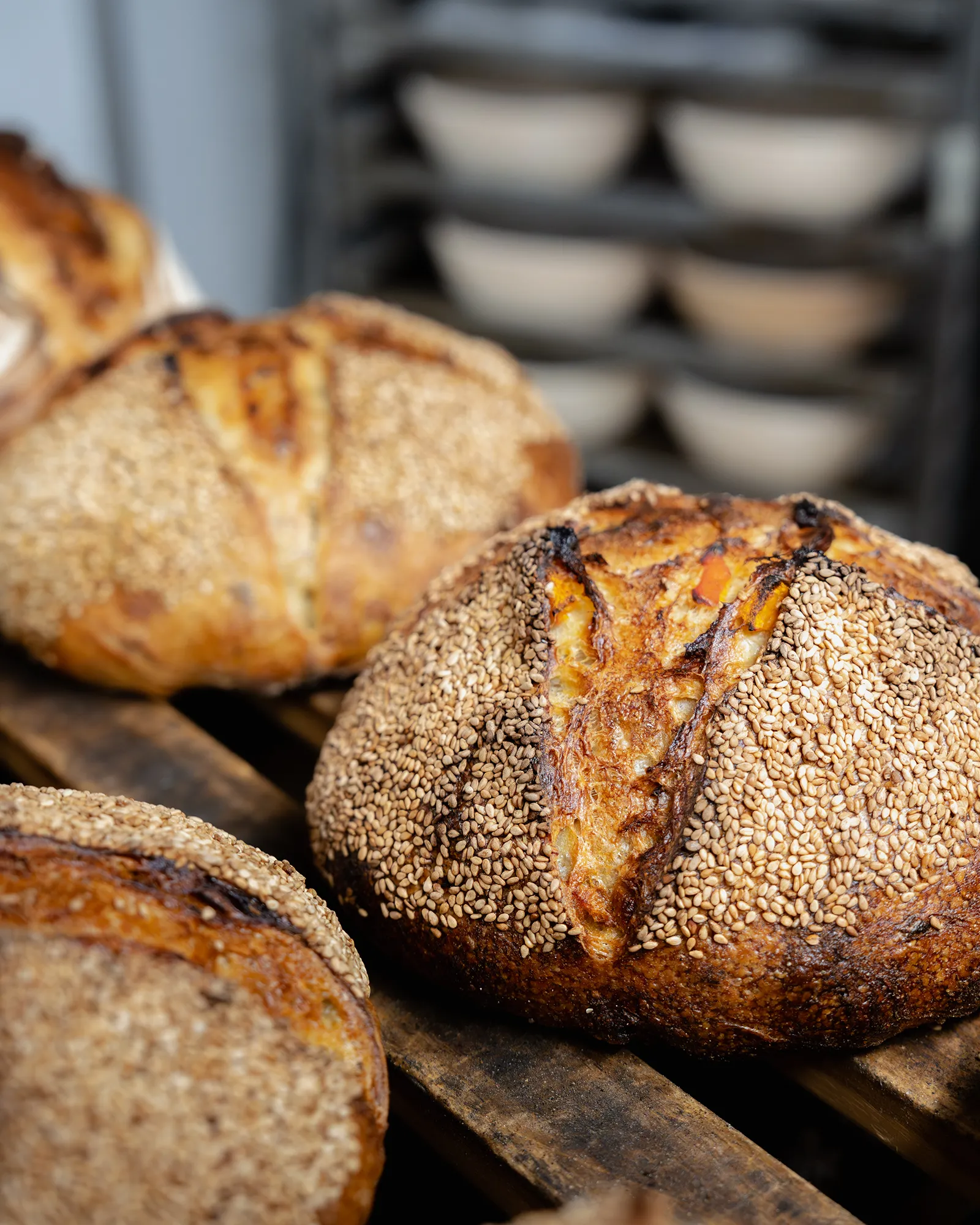 Das Bio-Levain mit Kürbis, gerösteten Haselnüssen und einer feinen Aprikosennote